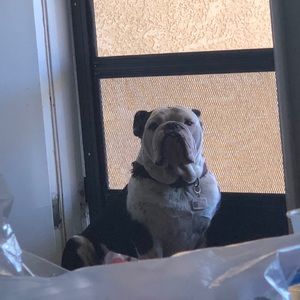 Meet your Posher, Kevin